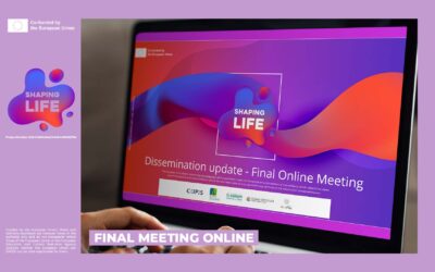 The Final (online) Meeting